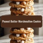 Irresistible Peanut Butter Marshmallow Cookie Recipe You Have to Try